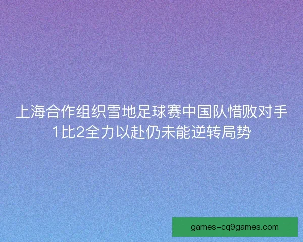 上海合作组织雪地足球赛中国队惜败对手1比2全力以赴仍未能逆转局势